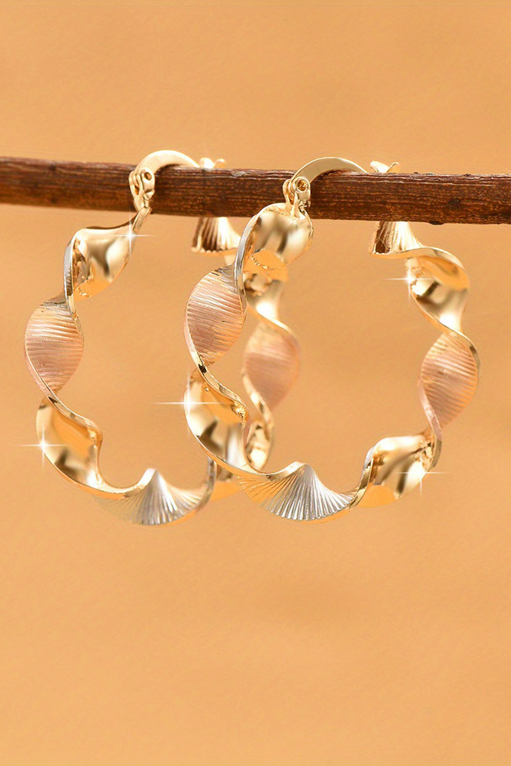 Twisted Round Hoop Earrings