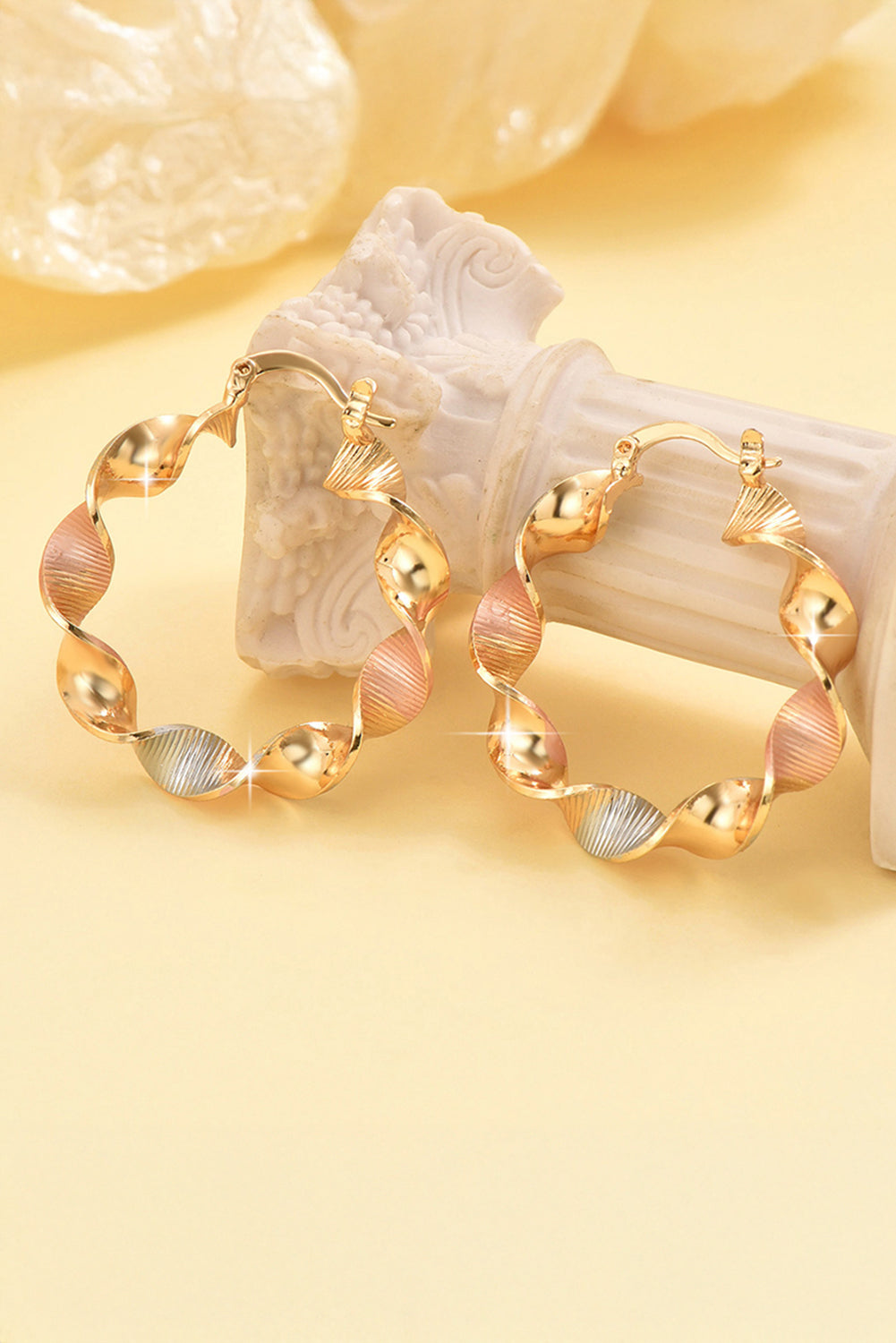 Twisted Round Hoop Earrings